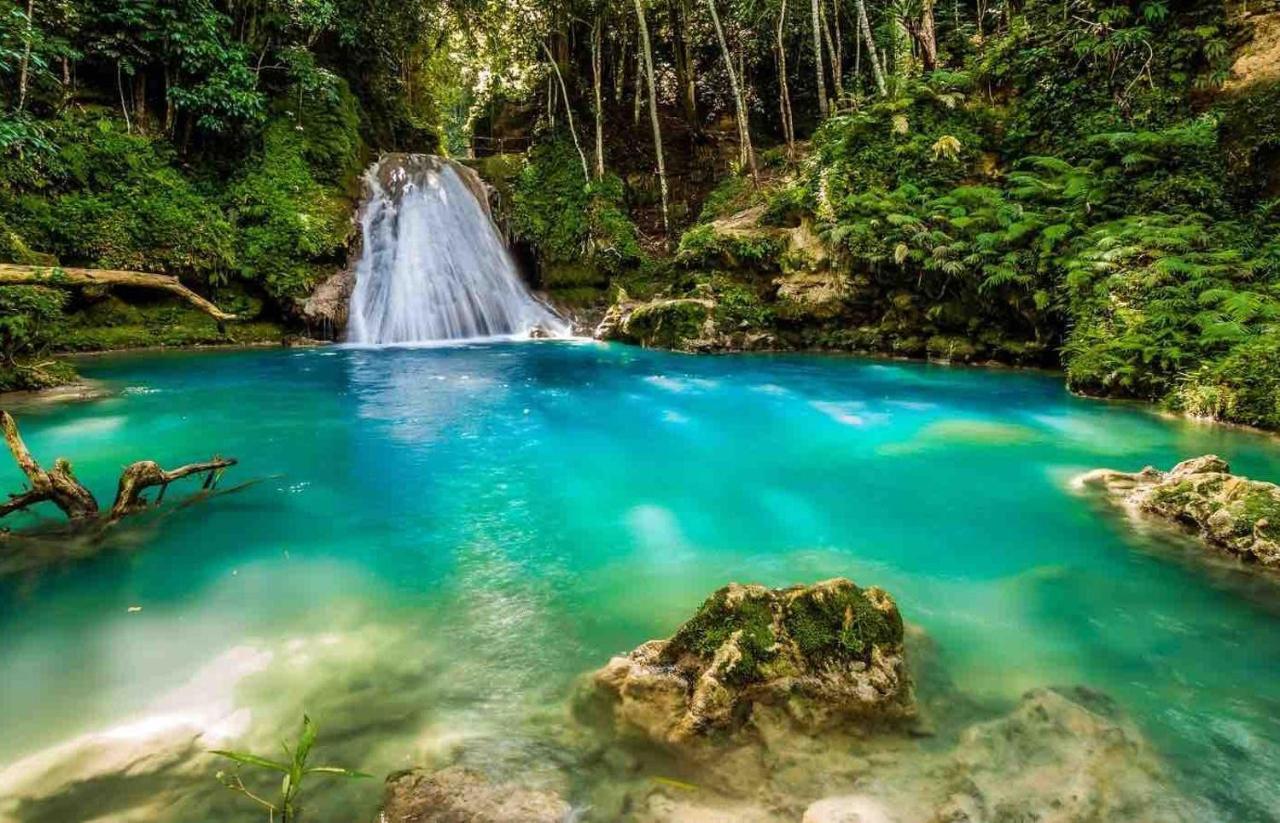 The Roseville Ocho Rios Exteriér fotografie